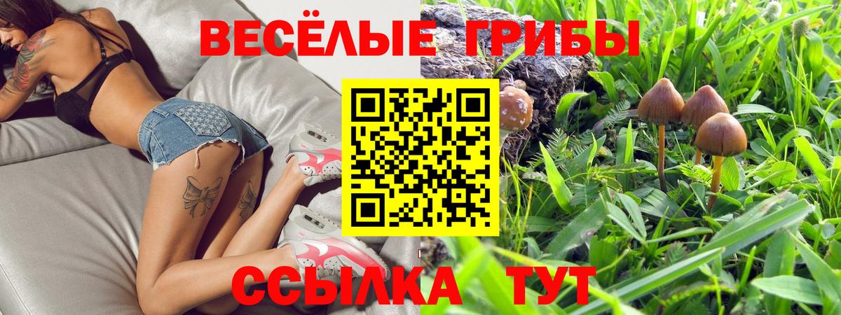 Мытищи  Галлюциногенные грибы MAGIC MUSHROOMS  продажа наркотиков  Псилоцибиновые грибы мухоморы  Вход с VPN 
