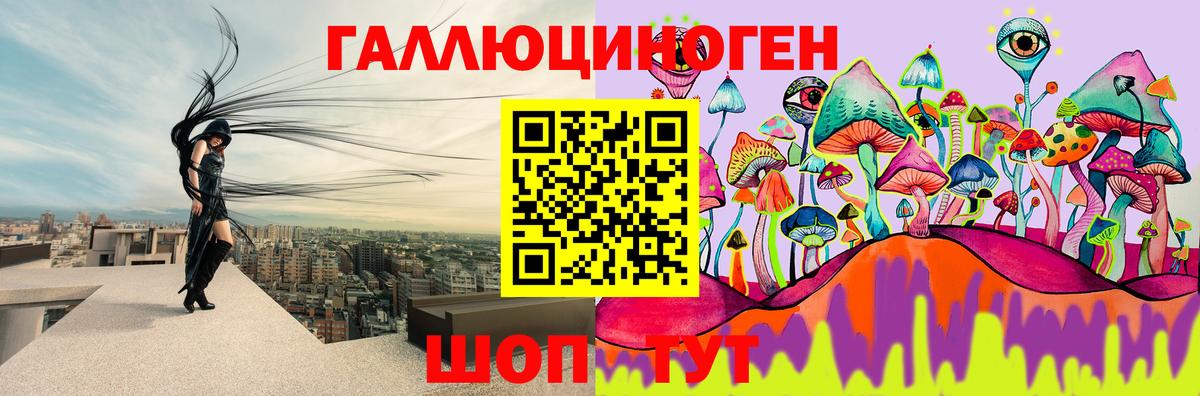 Псилоцибиновые грибы мицелий Мытищи